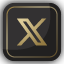 Icono X